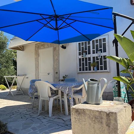 B&B Villa Mediterranee Con Parking Space Trani Buitenkant foto