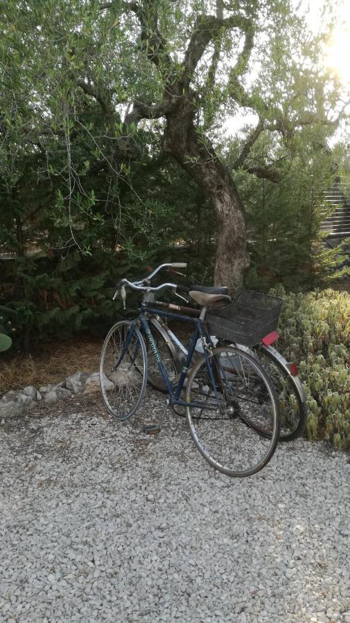 B&B Villa Mediterranee Con Parking Space Trani Buitenkant foto