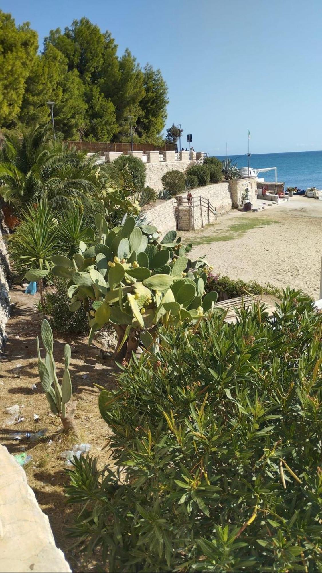 B&B Villa Mediterranee Con Parking Space Trani Buitenkant foto